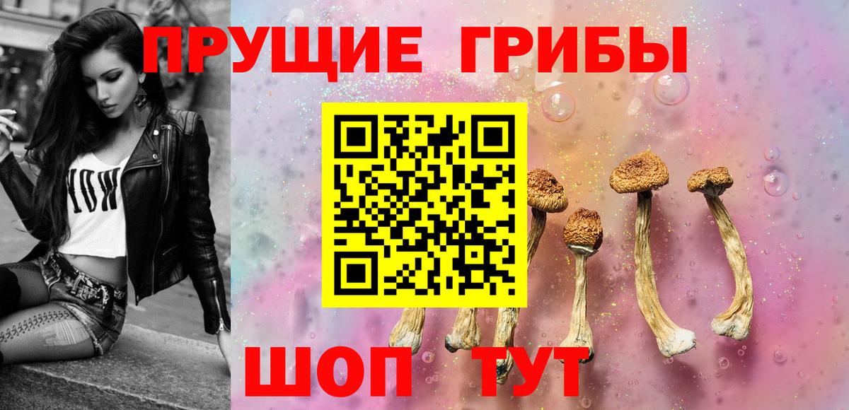Псилоцибиновые грибы мицелий  наркотики  Пугачёв  Галлюциногенные грибы Cubensis  Вход с VPN 